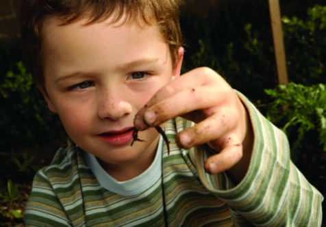 Kids Worm Farming Workshop - April School Holidays