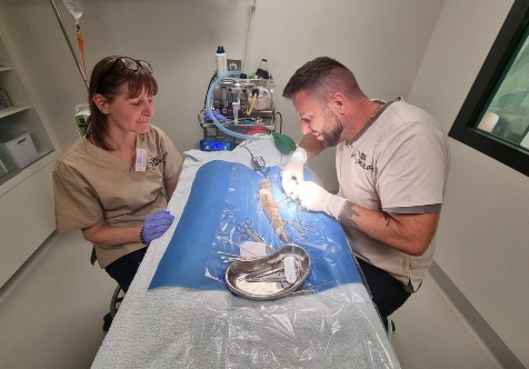 WA Wildlife School Holiday Program