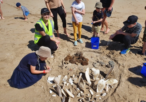 Beachcomb Clay Play - Adopt a Beach