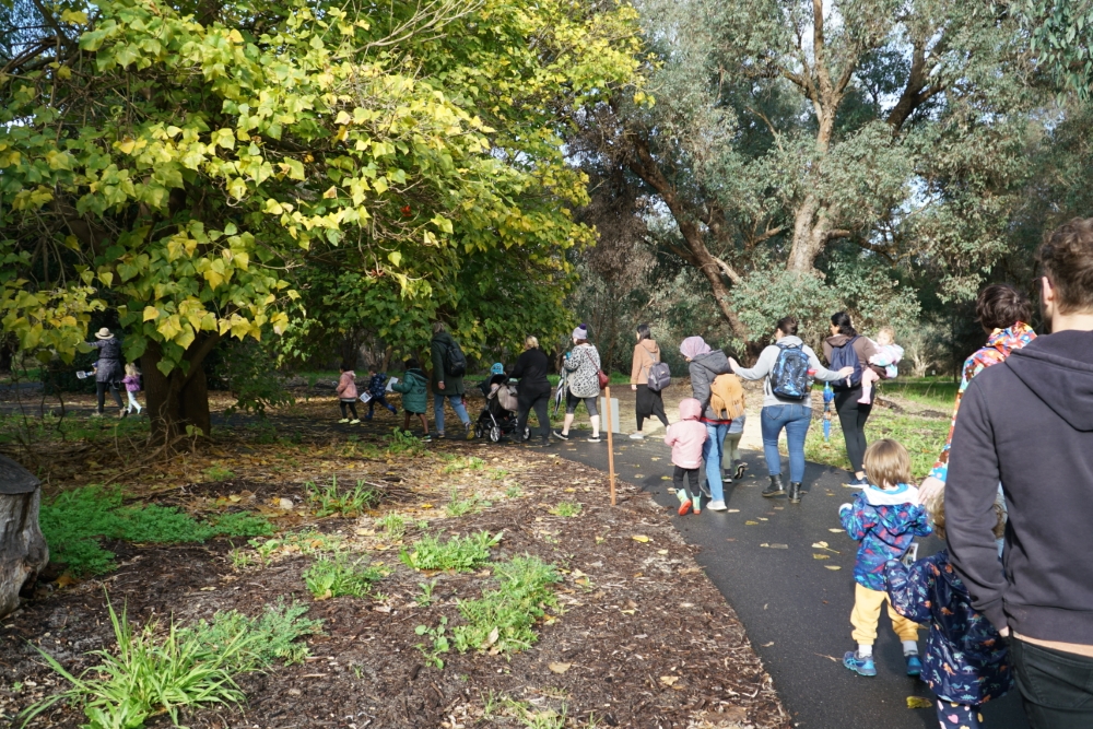 Boodjar biddi (bush track) Guided Cultural Walk