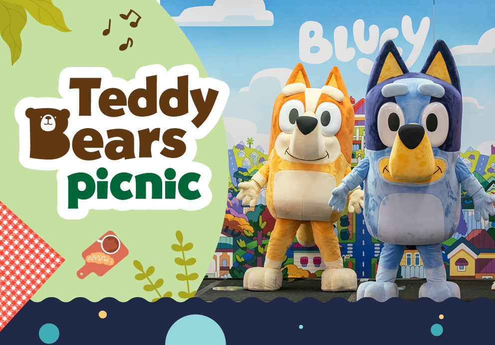 Teddy Bears Picnic