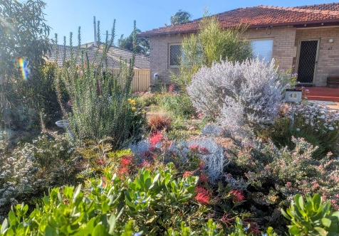 Growing Waterwise Gardens in Summer