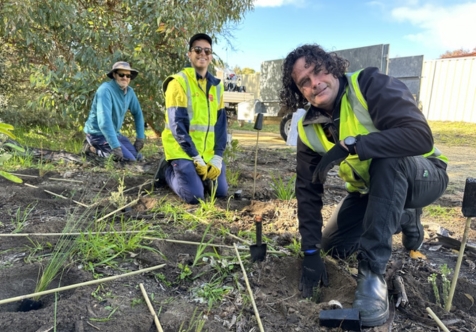 Community planting days