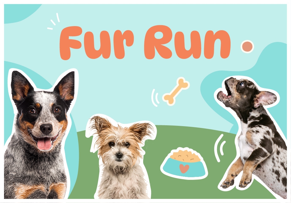 Fur Run