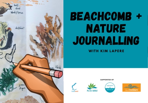 Beachcomb and Nature Journalling
