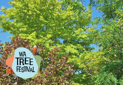 Right Tree, Right Place