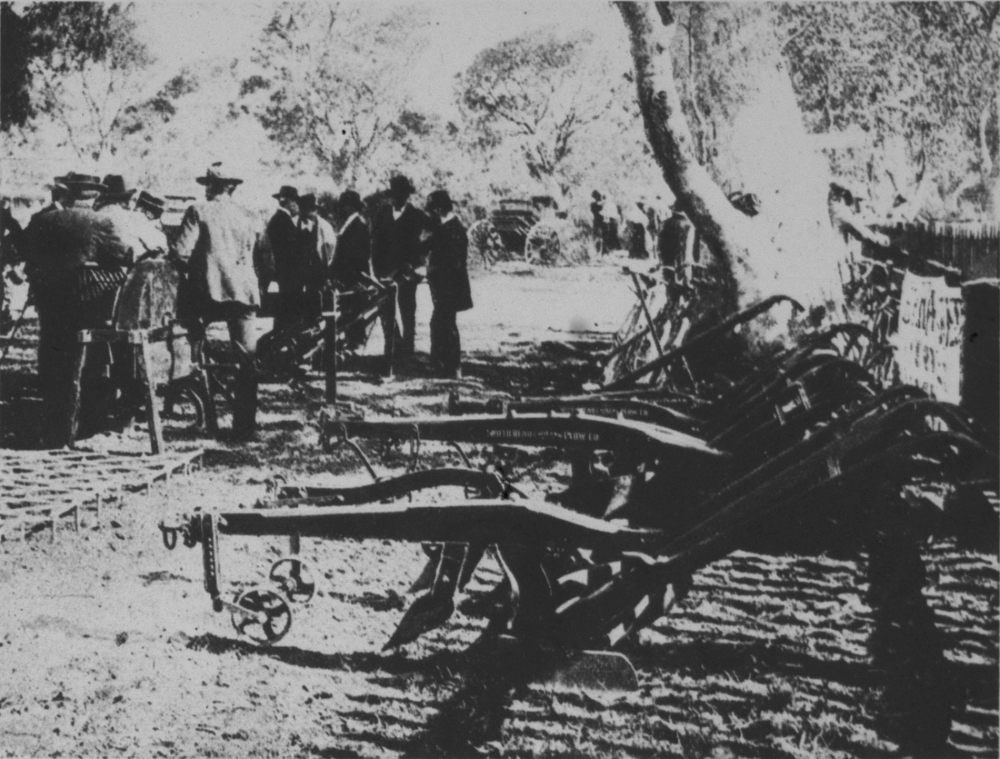 Plow display at Coogee Agricultural Hall, 1901