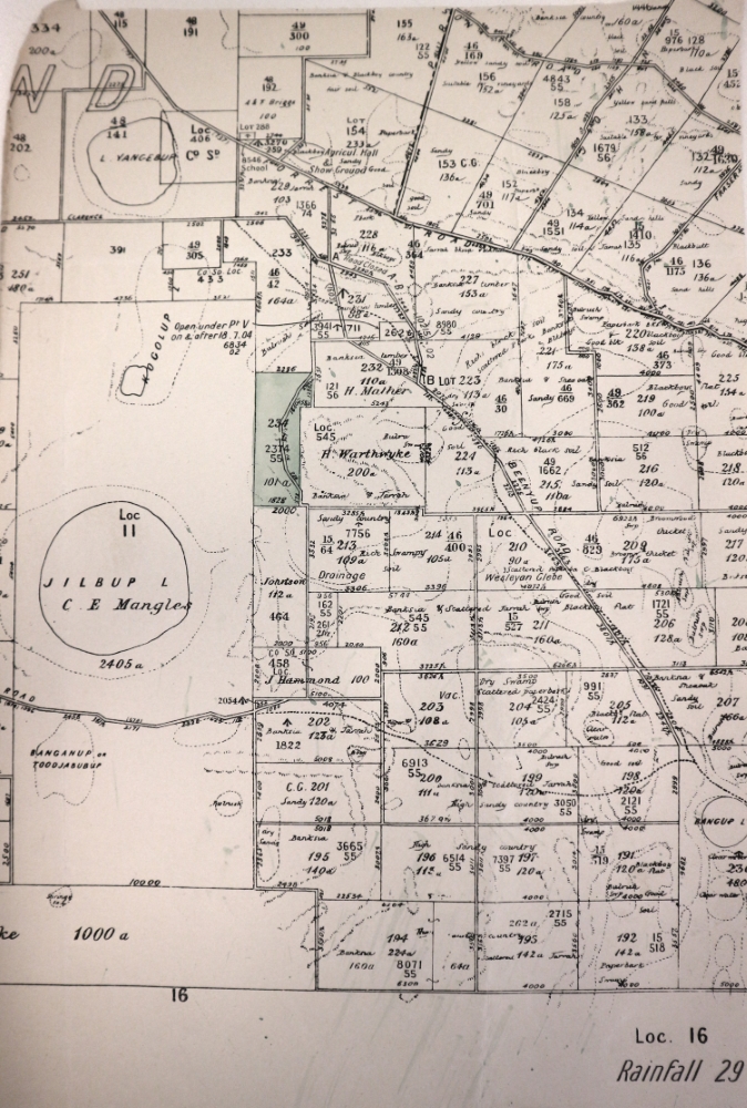 Map of land grants around Thomson's Lake, c1895