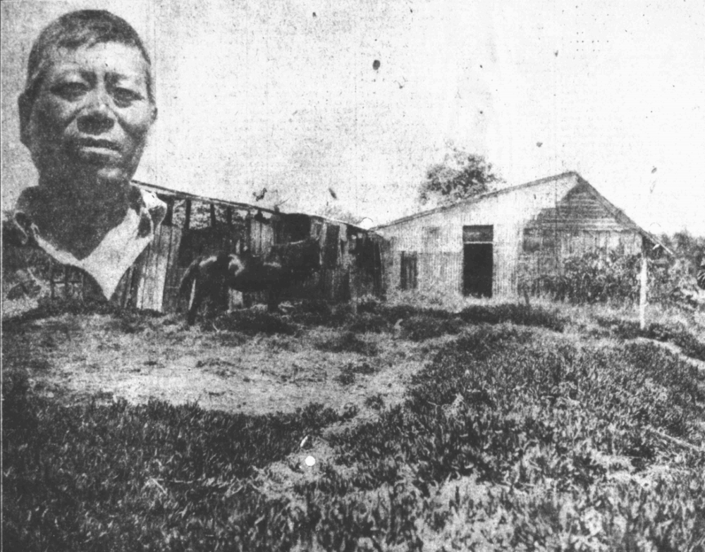 Chinese market garden house belonging to Hi Lory at Bibra Lake, 1927