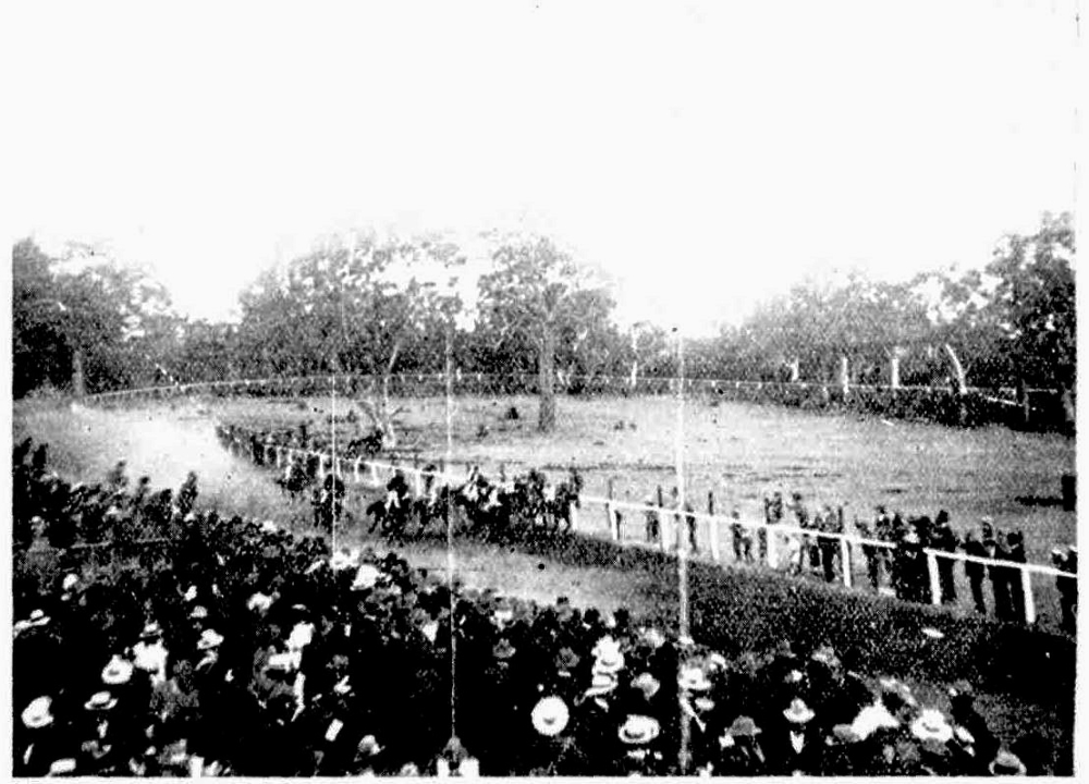 Bicton racecourse, 1905