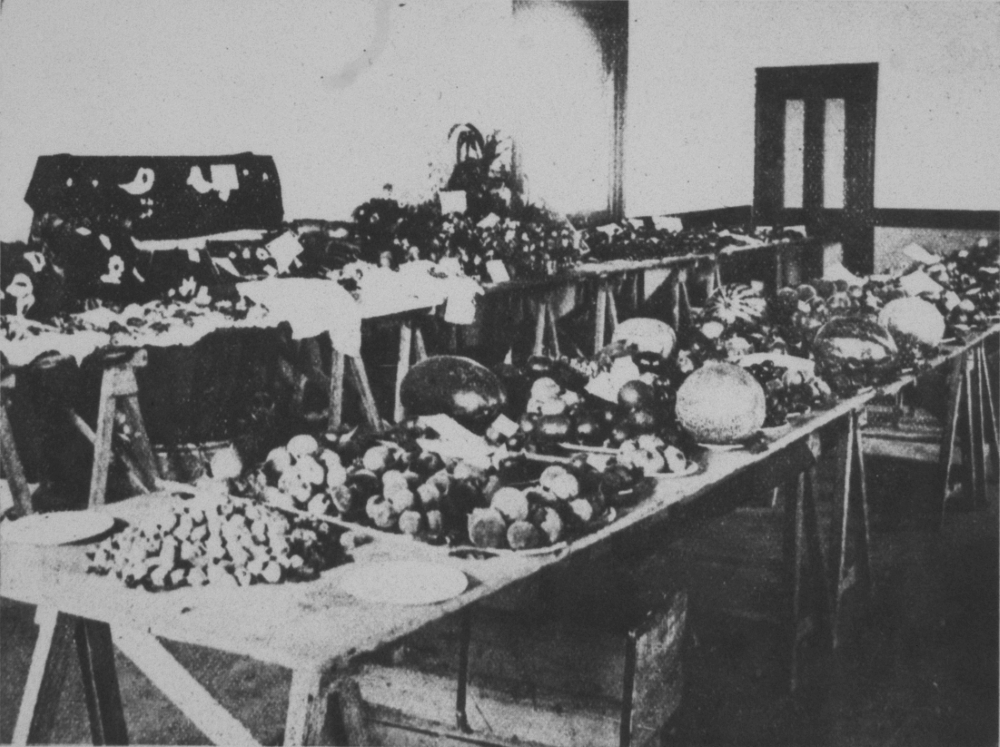 Fruit and vegetable display inside the Coogee Agricultural Hall, 1901 [picture]