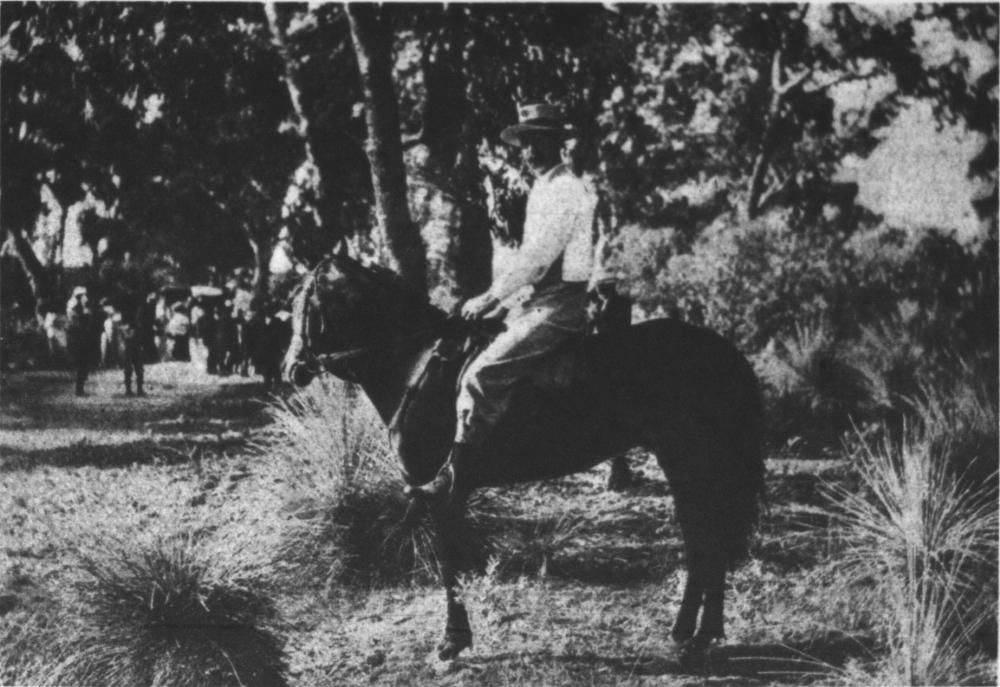 J. Sowden's pony Nipper at the Coogee Agricultural Show, 1904 [picture]