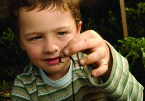 Kids Worm Farming Workshop - July School Holidays