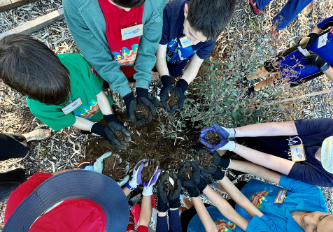 Cockburn kids add to local tree canopy