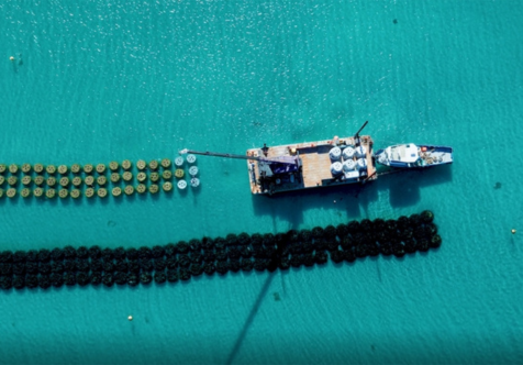 No fishing zone proposal open for comment