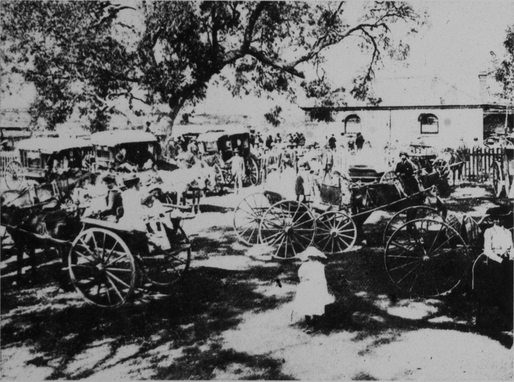 Coogee Agricultural Show, 1901