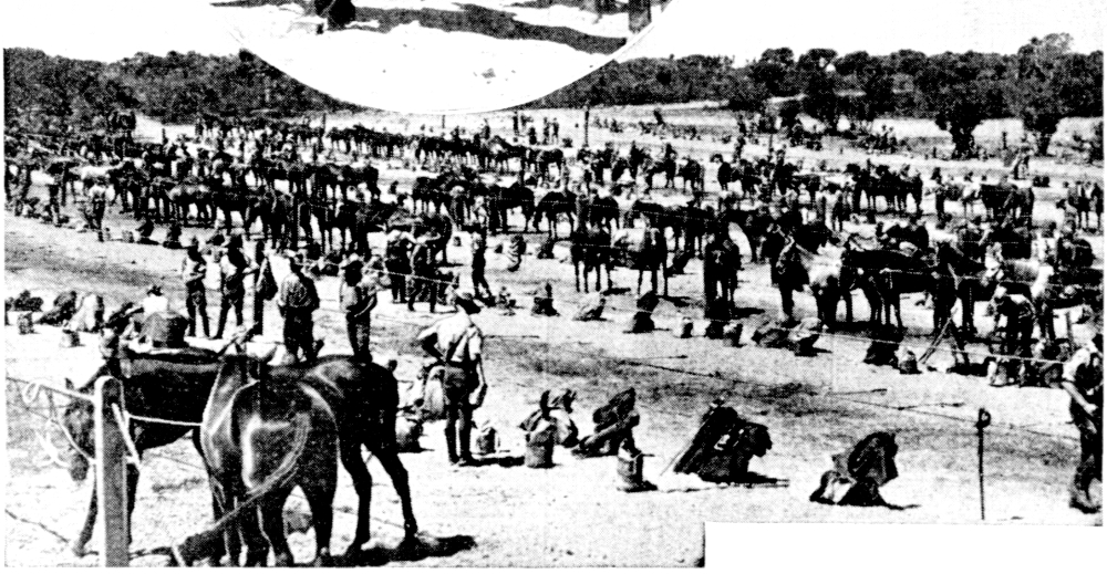 Feeding the 10th Light Horse at Naval Base training camp, 1940