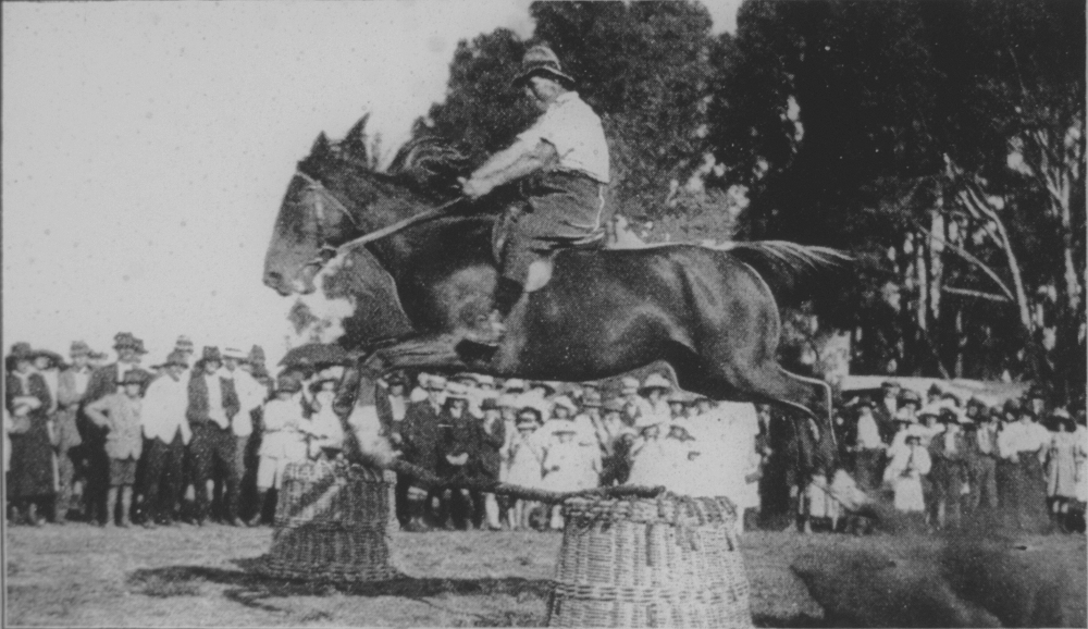 Horse jumping at the Spearwood Agricultural Show, 1923 [picture]