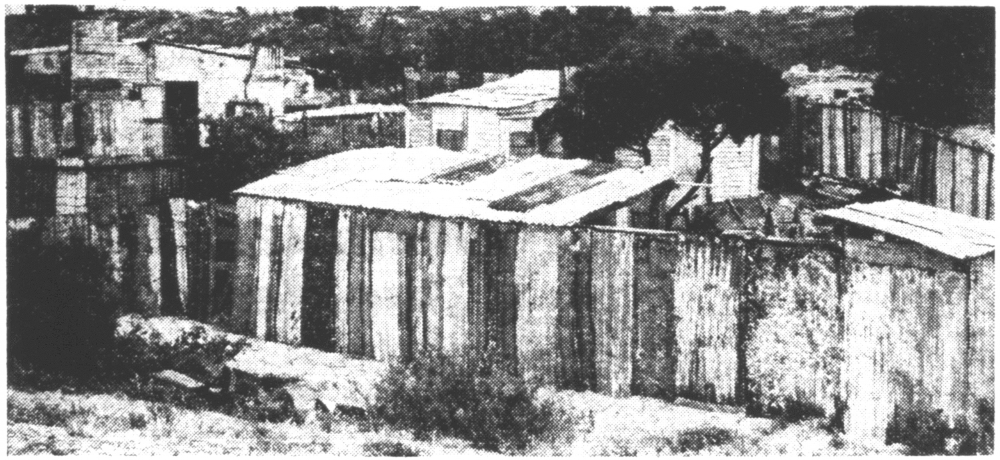 Iron roofs and walls at Fremantle Smelters camp, 1953 [picture]