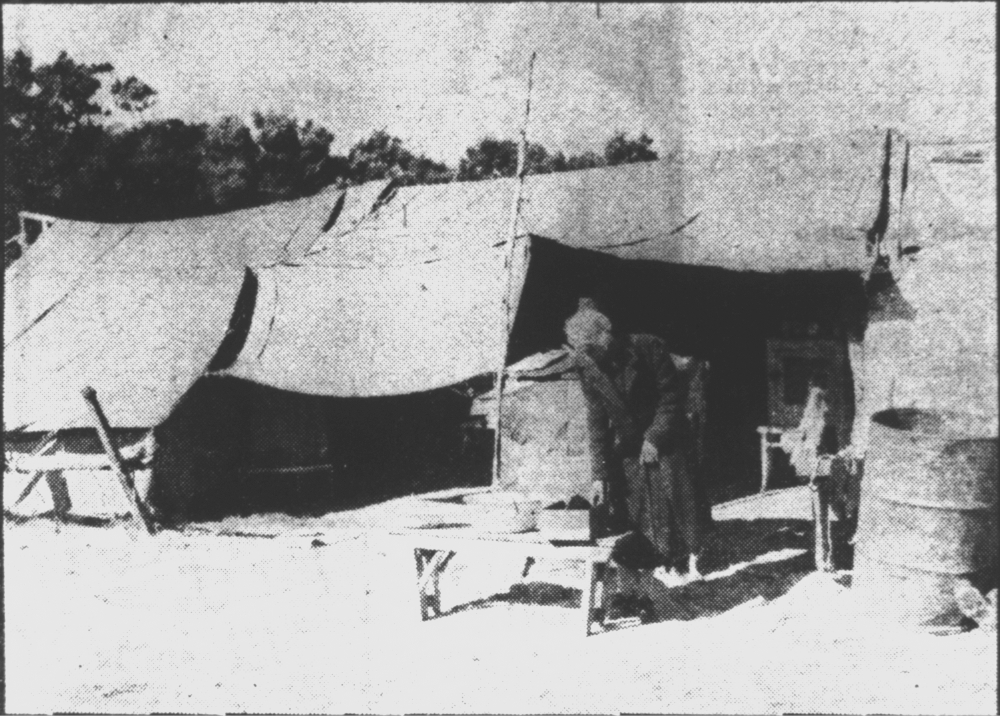 Woman outside permanent tent housing, Coogee Beach 1950 [picture]