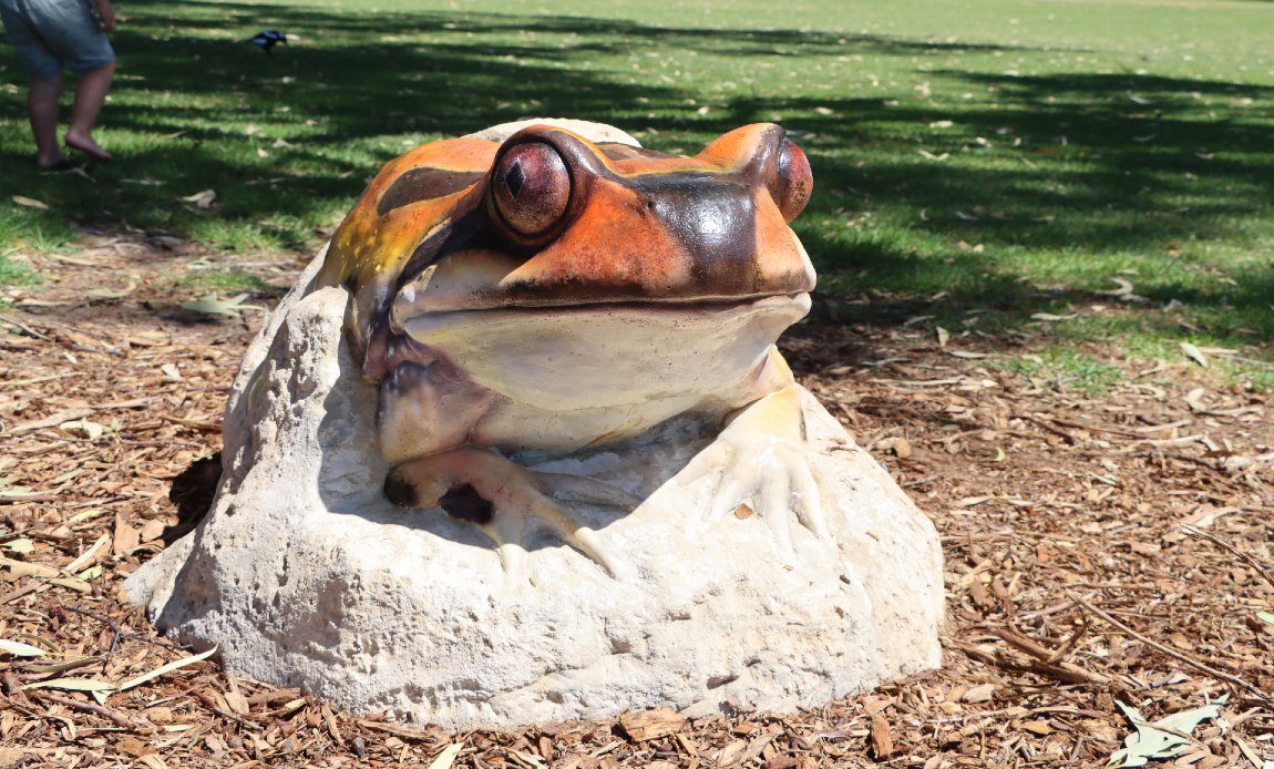 frog sculpture in manning park