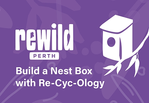 Build a nest box with ReWild and Re-Cyc-Ology (Cockburn)