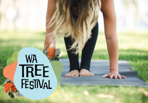 Yoga Under the Trees