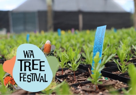 WA Tree Festival