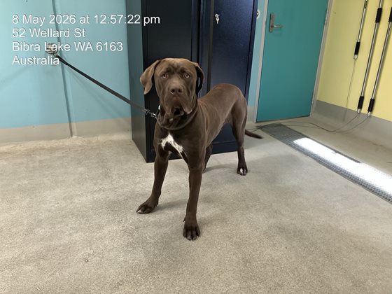 9 months old